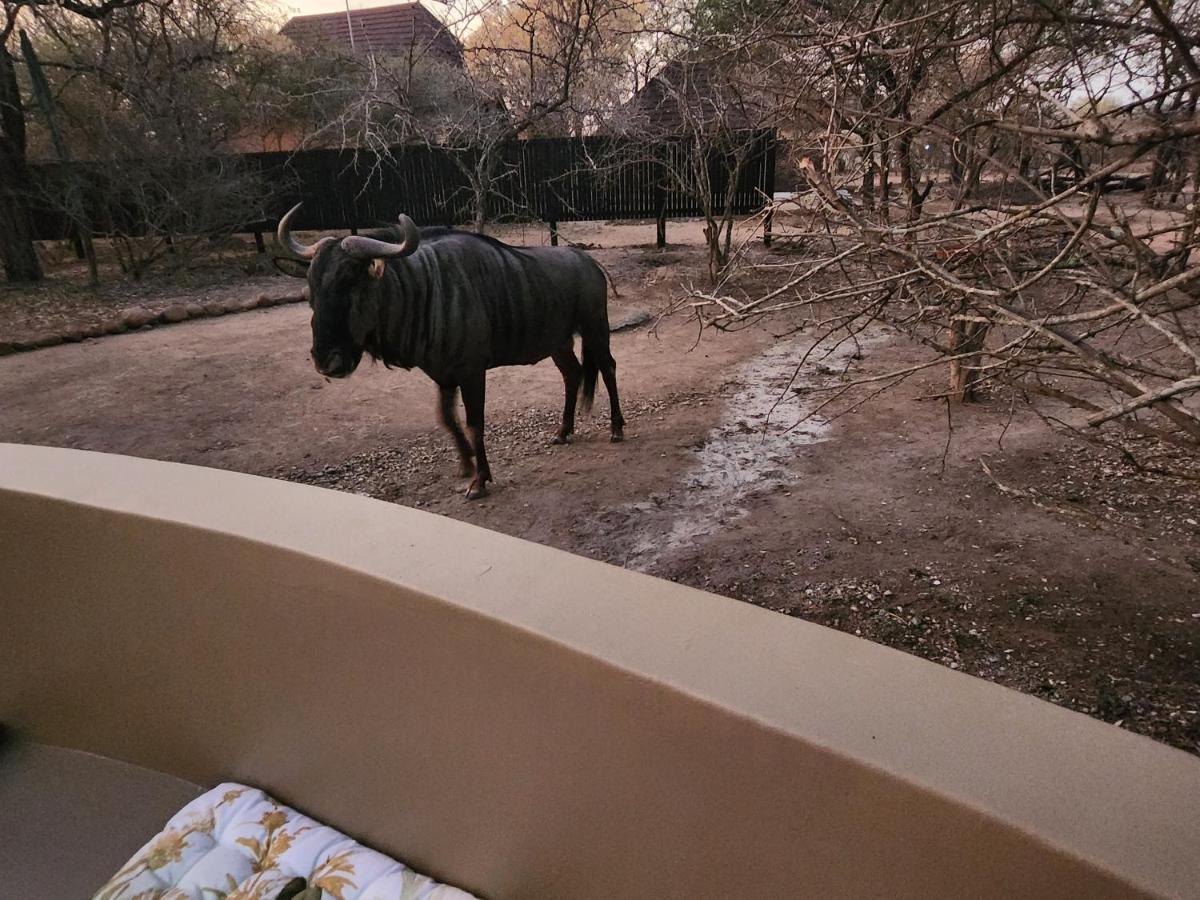 Апартаменты Kudus Crest Bush Retreat Марлот-Парк Экстерьер фото